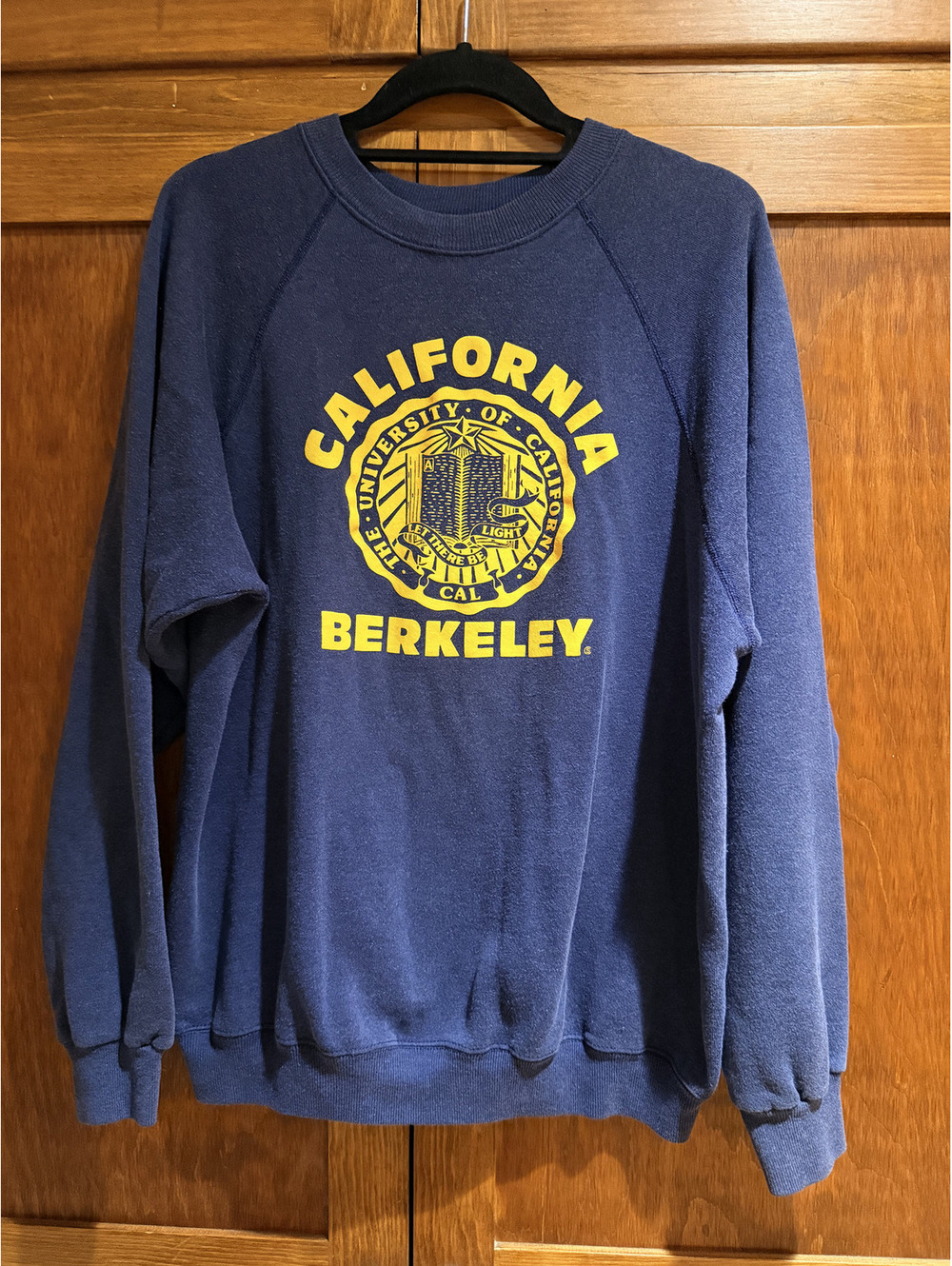RARE Vintage Hanes UC Berkeley Sweatshirt 1980s